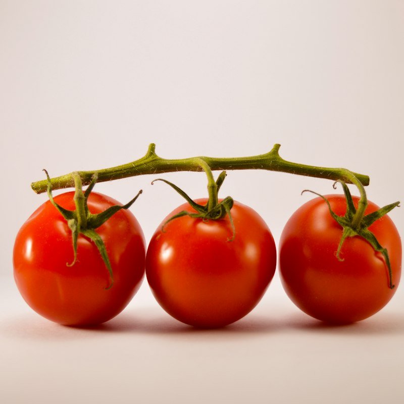 Capsicum